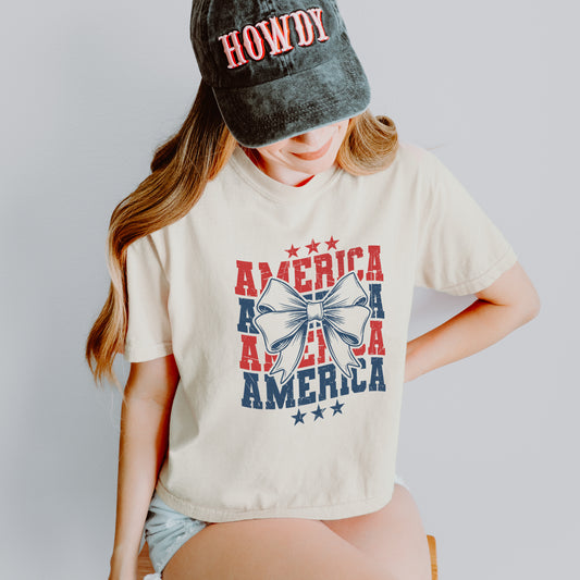 Coquette America Crop Top